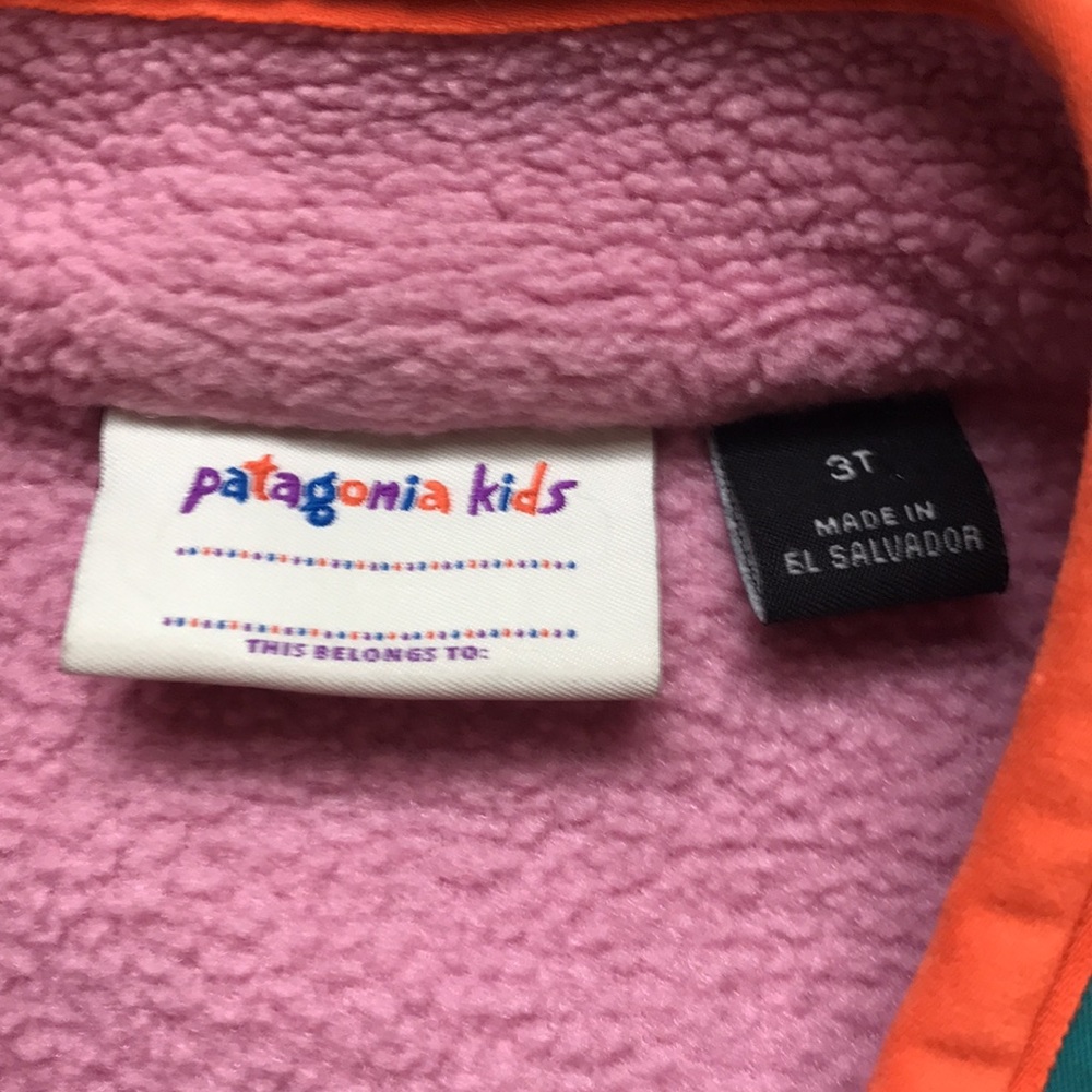 Patagonia Fleece Jacket (size 3T) - Picture 3 of 7